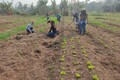 Repasse do Governo do Estado assegura manutenção de Escolas Famílias Agrícolas