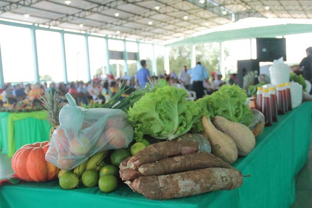 profissionais garantem qualidade e produtividade do setor agropecuário de Rondônia - Gente de Opinião