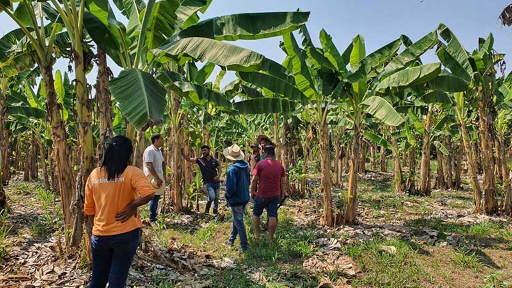 Capacitação foi oferecida a produtores de Cujubinzinho em ação realizada pela Seagri, Semagric e Embrapa - Gente de Opinião