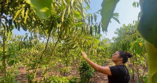 A produtora ficou em 1º Lugar no Concurso de Qualidade e Sustentabilidade do Café de Rondônia da região do Vale do Guaporé - Gente de Opinião