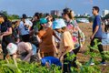 Prefeitura de Porto Velho  mobiliza sociedade e realiza mega plantio com mais de 30 mil mudas de árvores 