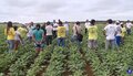 Famílias em vulnerabilidade alimentar serão beneficiadas com entrega de alimentos