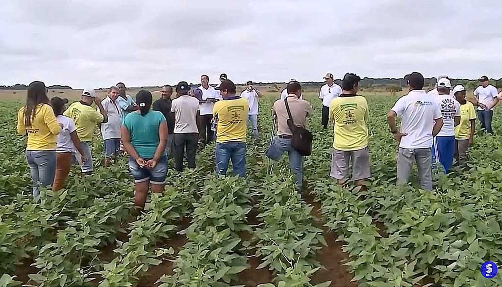 Famílias em vulnerabilidade alimentar serão beneficiadas com entrega de alimentos - Gente de Opinião