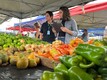 Programa de Aquisição de Alimentos impulsiona a agroindústria e fortalece setor agrícola