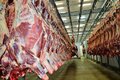 Exportações de carne bovina crescem e ultrapassam 960 milhões de dólares em Rondônia