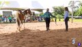 Haras Tarumã, o lugar ideal para a prática da equitação e passeios a cavalo, em Porto Velho