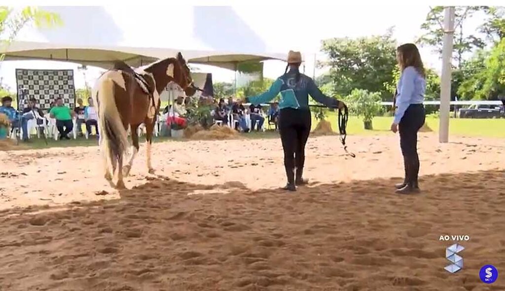 Haras Tarumã, o lugar ideal para a prática da equitação e passeios a cavalo, em Porto Velho - Gente de Opinião