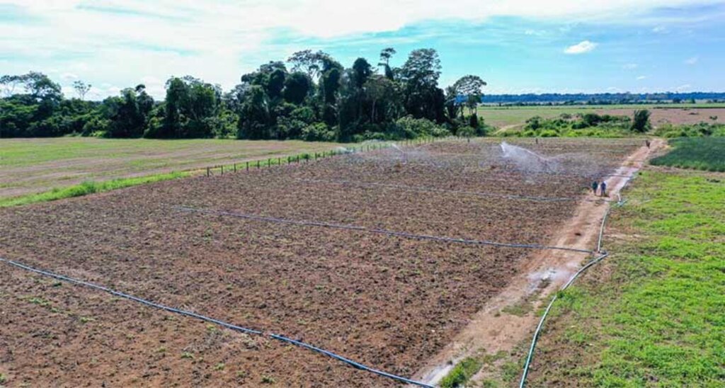 Equipamentos e recuperação de estradas estimulam agricultura (Foto: Antônio Lucas I Secom ALE/RO) - Gente de Opinião