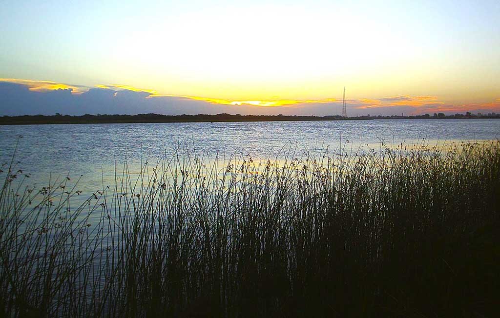 Canal São Gonçalo (Wikipédia) - Gente de Opinião