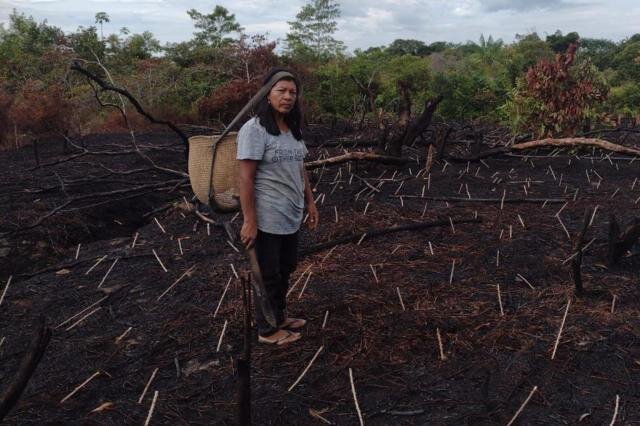 Seca na Amazônia: fenômeno deve se repetir entre Rondônia e Acre no verão de 2024, preveem cientistas - Gente de Opinião