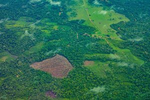 Projeto de Monitoramento do Desmatamento na Amazônia Legal por Satélite indica áreas desmatadas de forma ilegal - Gente de Opinião