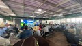 Oportunidades e desafios para criadores da raça Girolando são debatidos na Rondônia Rural Show Internacional