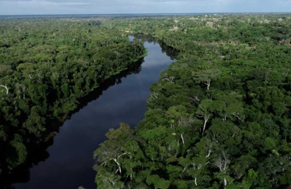 Rondônia se destaca como o segundo estado do país com a maior diminuição de degradação florestal - Gente de Opinião