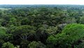 MPRO e Estado de Rondônia obtêm sentença de desocupação de Estação Ecológica de Samuel