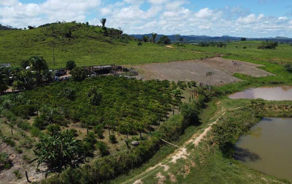 Série de reportagens são focadas na liberação de emendas para o agronegócio (Foto: Rafael Oliveira I Secom ALE/RO) - Gente de Opinião