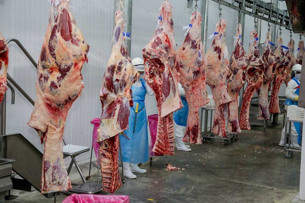 Reunião debate a viabilização da exportação da carne bovina rondoniense pelo rio Madeira - Gente de Opinião