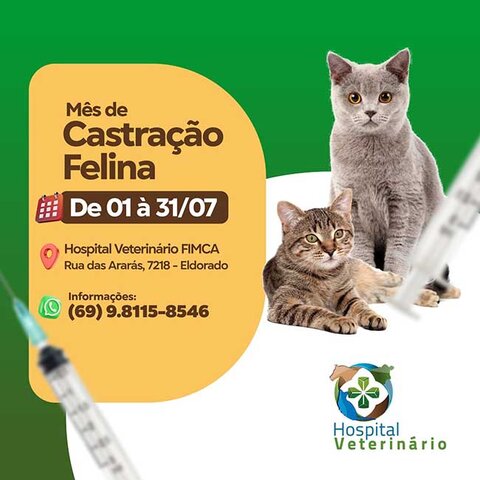 HVET FIMCA realiza mês de castração felina: entenda a Importância do procedimento - Gente de Opinião