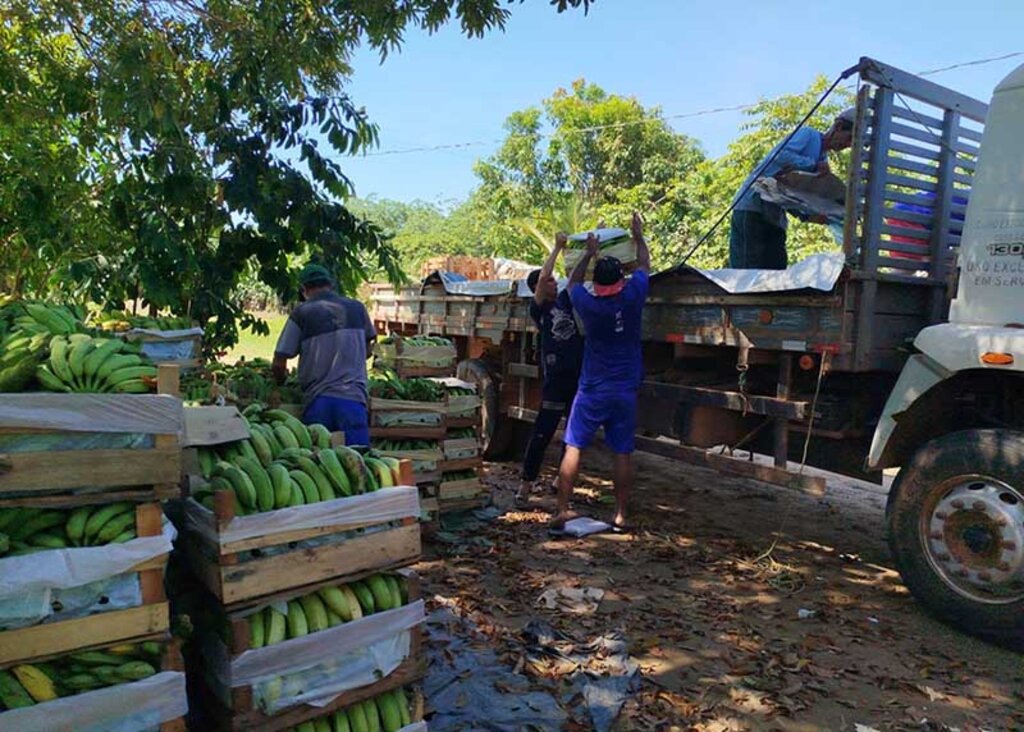 O Programa de Transporte da Produção da Agricultura Familiar está à disposição dos agricultores - Gente de Opinião