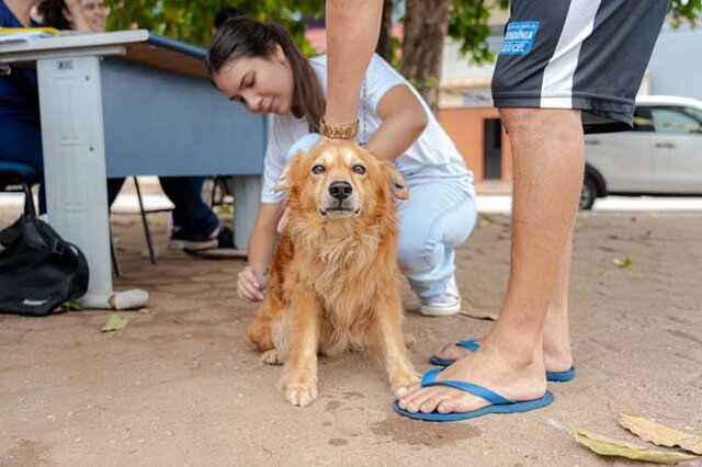 No bairro Liberdade, 116 cães e gatos foram imunizados - Gente de Opinião