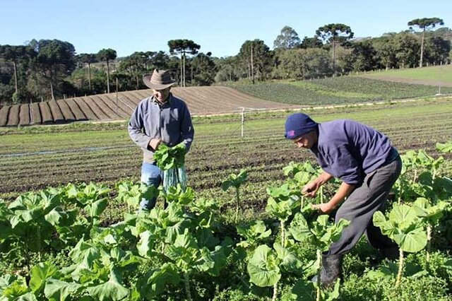 O Programa Nacional de Fortalecimento da Agricultura Familiar oferece crédito com juros menores e mais garantias de acesso - Foto: Divulgação/MDA - Gente de Opinião