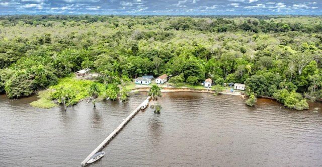 Meio ambiente: na vergonhosa imagem de destruição, incompetência e corrupção evidenciamos ao mundo não precisamos de inimigos externos - Gente de Opinião