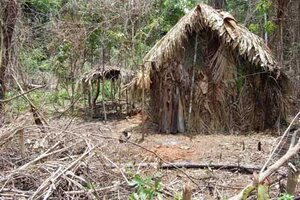 Uma das palhoças construída pelo indígena. Foto: Funai - Gente de Opinião