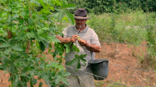 PEAA estadual fortalece os pequenos agricultores e garante alimento na mesa - Gente de Opinião