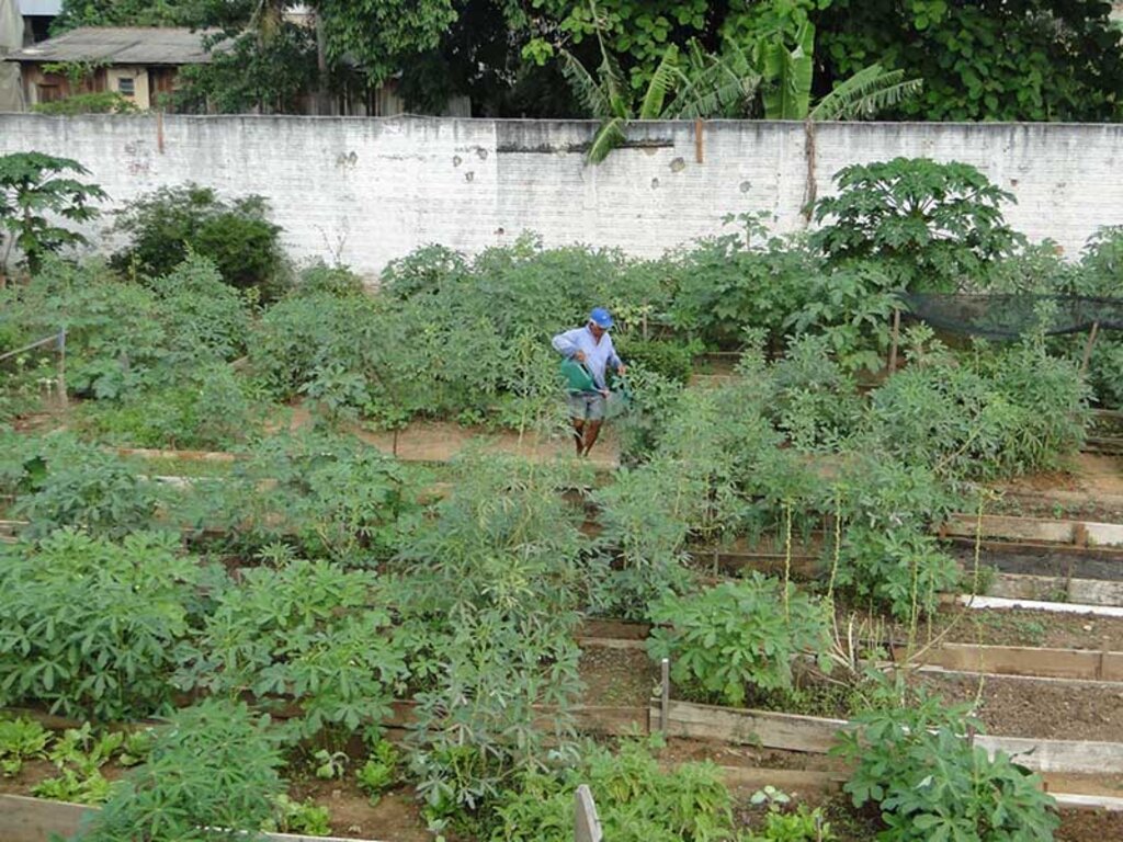 A data é um reconhecimento aos agricultores pela significativa contribuição para o desenvolvimento econômico e social do estado - Gente de Opinião