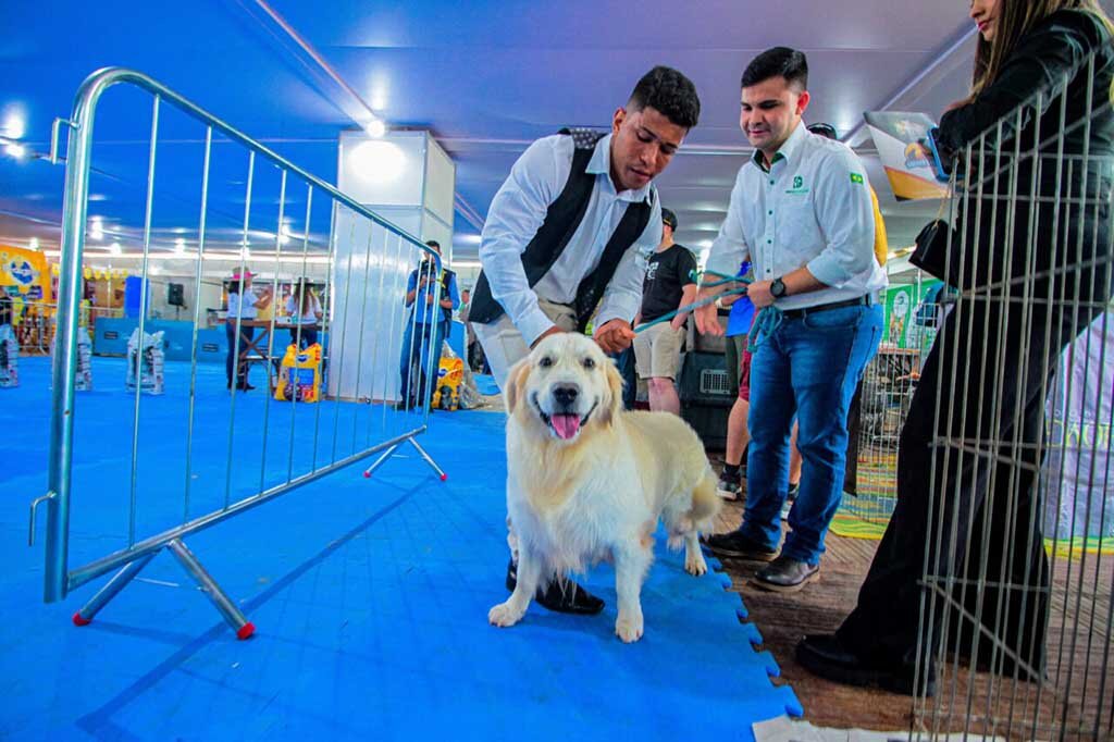 Entre os participantes, médicos veterinários, acadêmicos, lojistas, proprietários de pet shops, criadores e tosadores e público em geral - Gente de Opinião