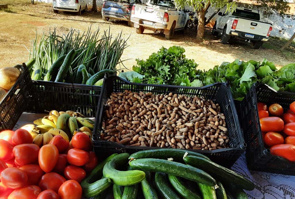 Produtos podem ser adquiridos in natura ou processados pela agroindústria familiar - Gente de Opinião