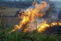 Deputados aprovam mais de R$ 13 milhões para proteção ambiental em Rondônia