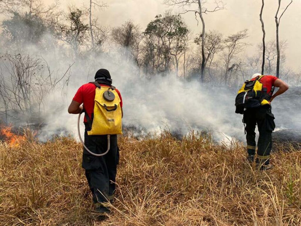 Marcos Rocha determina  intensificação no combate ao incêndio no Parque de Guajará-Mirim - Gente de Opinião