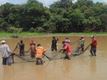 Governo de RO inicia resgate de alevinos de Pirarucu na Resex Lago do Cuniã para minimizar impactos da crise hídrica