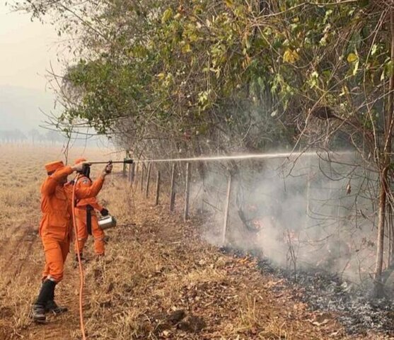 Em Costa Marques, ações de combate a incêndios florestais são intensificadas  - Gente de Opinião