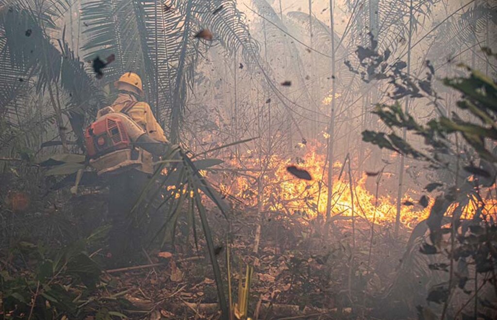 MPF vai à Justiça para garantir a contratação de brigadistas para combates a incêndios em Rondônia - Gente de Opinião