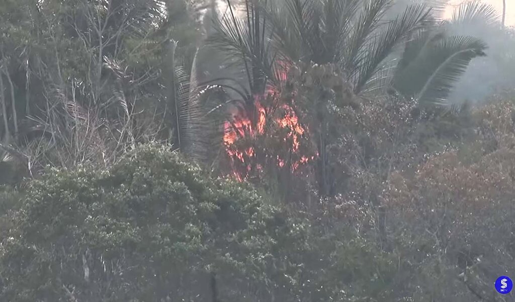 Queimadas continuam aumentando em Rondônia. Em 24 horas, quase 500 focos - Gente de Opinião