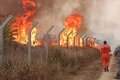 Em ação do MPF, Justiça dá prazo de 72 horas para União se manifestar sobre combate a incêndios florestais em Rondônia