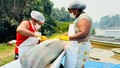 Atividades de manejo de controle do Pirarucu na Resex Rio Cautário alcançam números recordes