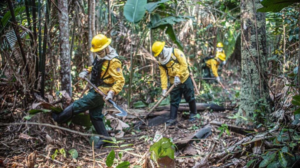 Operação Temporã: ação conjunta reduz em 71,5% as áreas atingidas por incêndios no Parque Estadual de Guajará-Mirim - Gente de Opinião