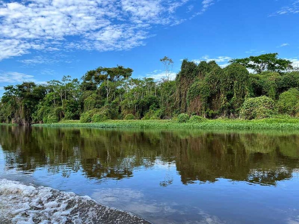 No Dia da Amazônia, Energisa reitera seu compromisso com a preservação do meio ambiente - Gente de Opinião