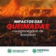 Sistema FAPERON e Sindicatos de Produtores Rurais de Rondônia destacam os impactos e prejuízos devastadores das queimadas na produção agropecuária do Estado