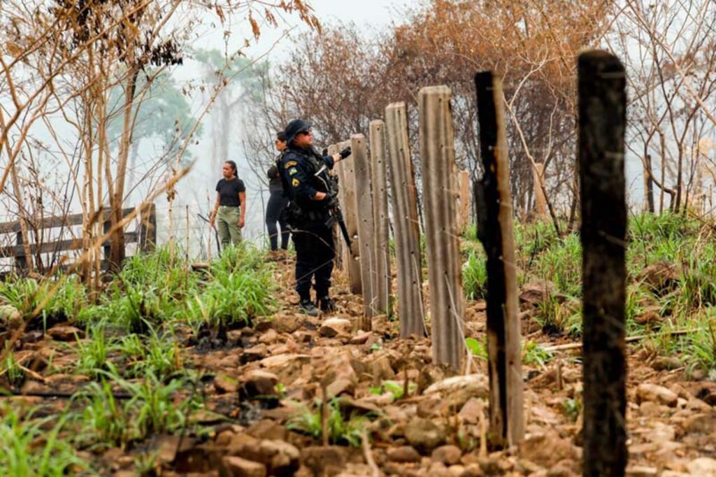 Parque Estadual Guajará-Mirim atinge redução recorde em área atingida por incêndios com ação conjunta da Operação Temporã - Gente de Opinião