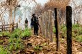 Parque Estadual Guajará-Mirim atinge redução recorde em área atingida por incêndios com ação conjunta da Operação Temporã