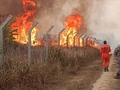 Assembleia aprova sanções para responsáveis por incêndios e queimadas no estado