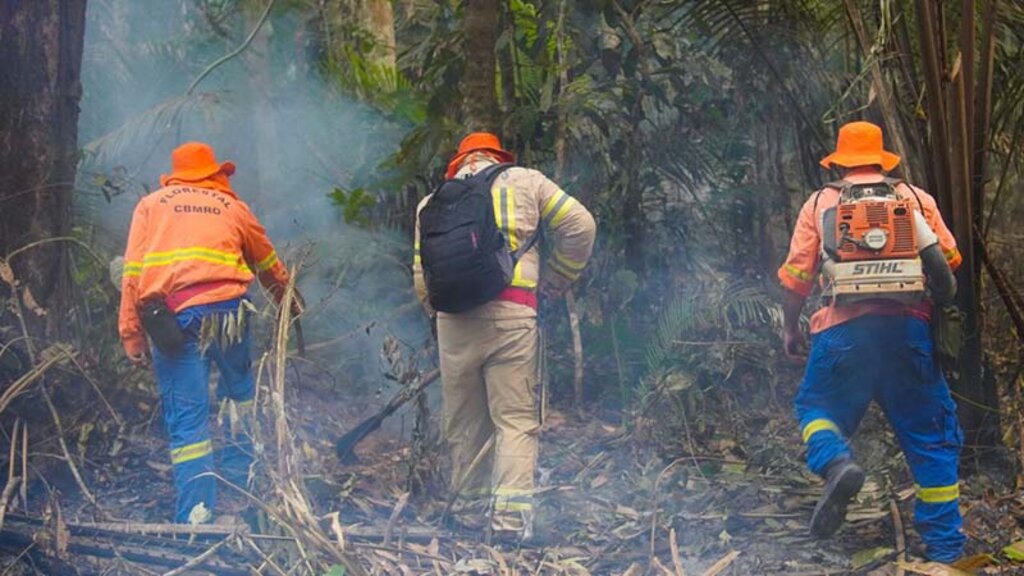 Pontos de reativação de incêndios são combatidos no Parque Guajará-Mirim na Operação Temporã 1 - Gente de Opinião