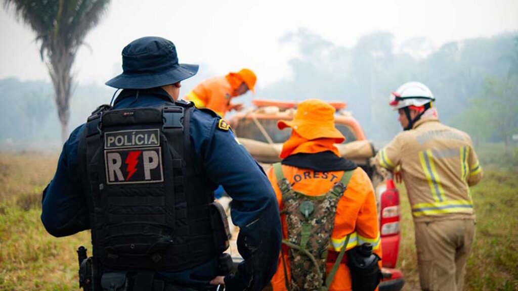 Força de segurança em conjunto fiscaliza e penaliza crimes ambientais em Rondônia - Gente de Opinião