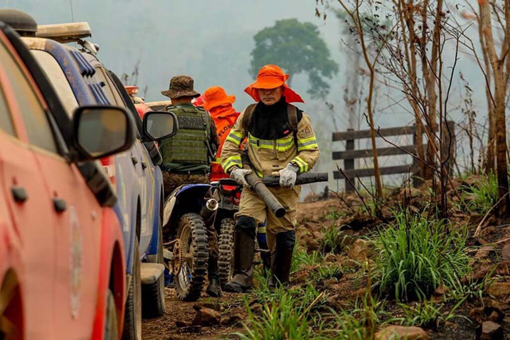 Força de segurança em conjunto fiscaliza e penaliza crimes ambientais em Rondônia - Gente de Opinião