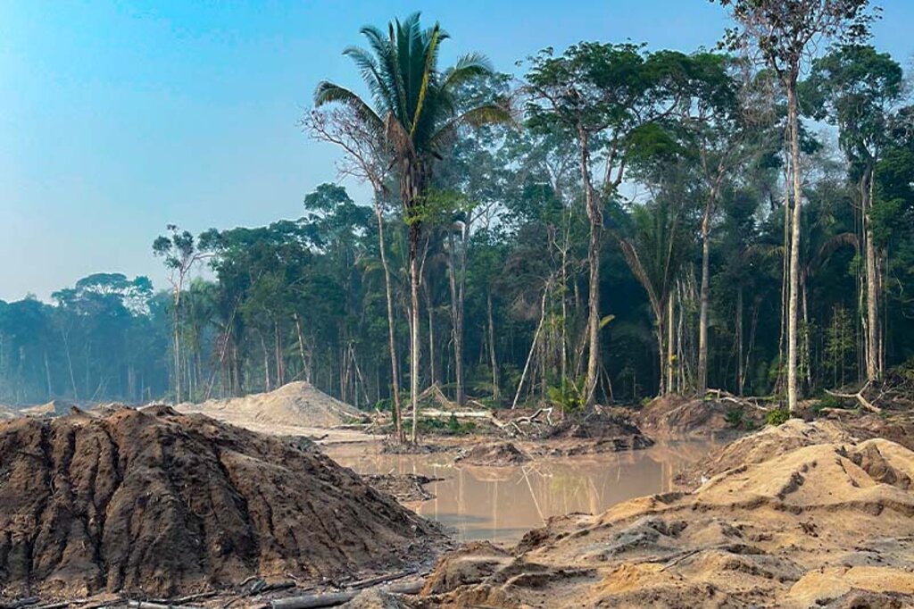 Degradação ambiental no Parna Campos Amazônicos - Gente de Opinião