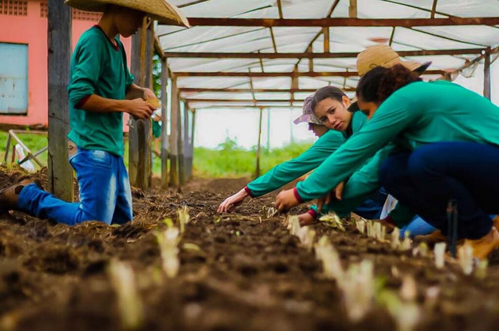 Deputada Ieda Chaves propõe estudo para a criação de Escola Família Agrícola (EFA) em Porto Velho - Gente de Opinião