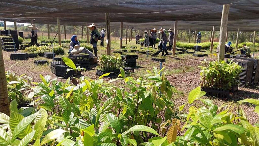 Rioterra: 25 anos semeando inovações na Amazônia - Gente de Opinião